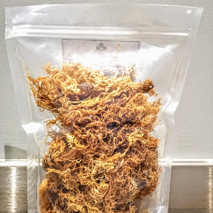 Wildcrafted Irish Sea Moss Dr Sebi Grade! Chondrus Crispus
